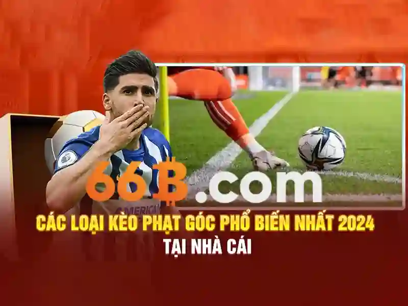 Cách hoạt động của 66B