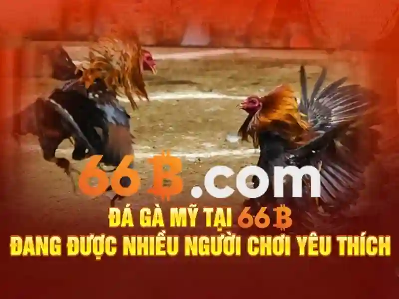 Giới thiệu về 66b