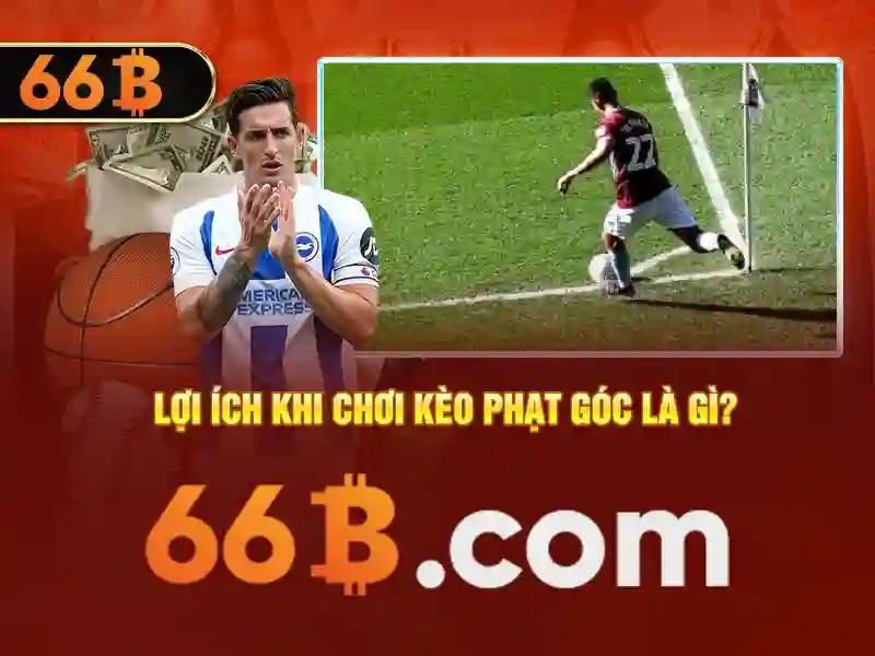 Ứng dụng của 66B