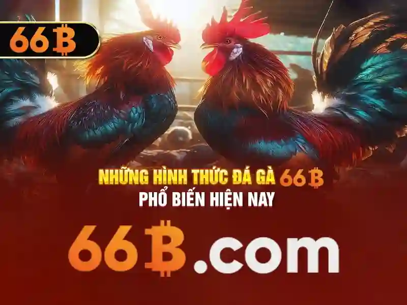 Nguồn gốc và ý nghĩa của 66b