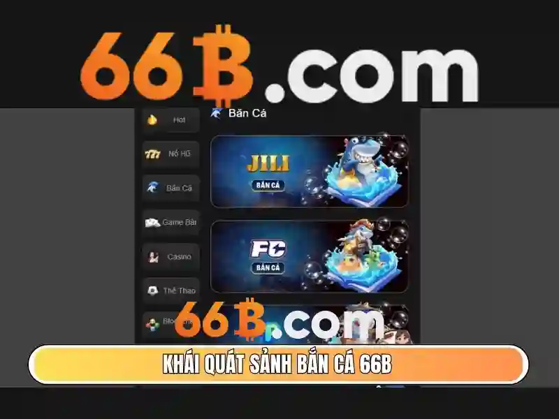 66B là gì?