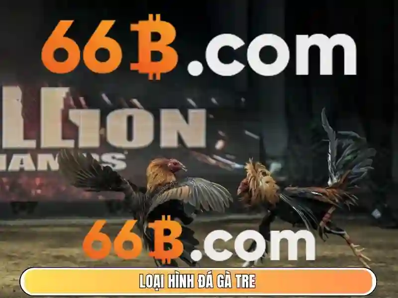Khám phá 66b: một ký hiệu thú vị