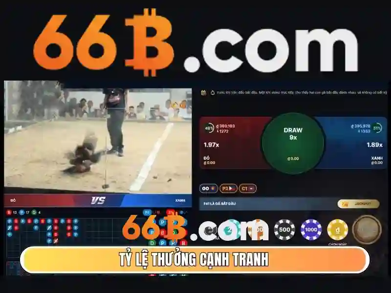 66B là gì và tại sao quan trọng