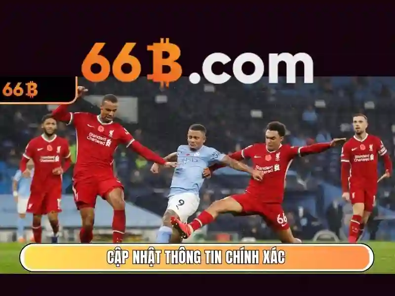 66b trong thời trang và kích thước áo ngực