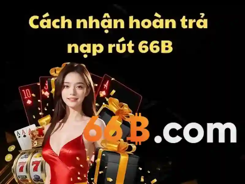66b nguyễn sỹ sách p15 tân bình là gì – trải nghiệm và phản hồi