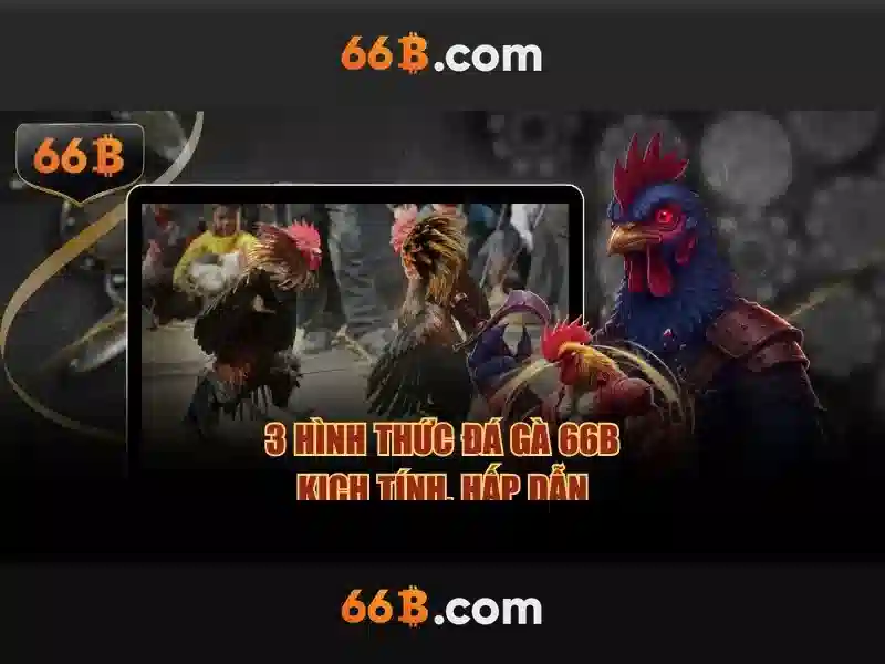 Ứng dụng của 66B