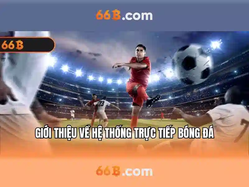 66b là gì và vì sao nó được chú ý