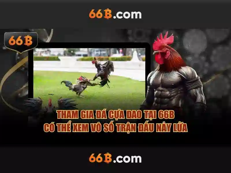 66b .com – Tổng quan thương hiệu và hành trình số hóa
