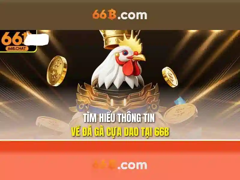 Kiến trúc và khả năng