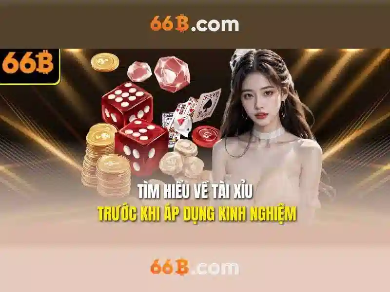 66B: Định nghĩa và tầm quan trọng