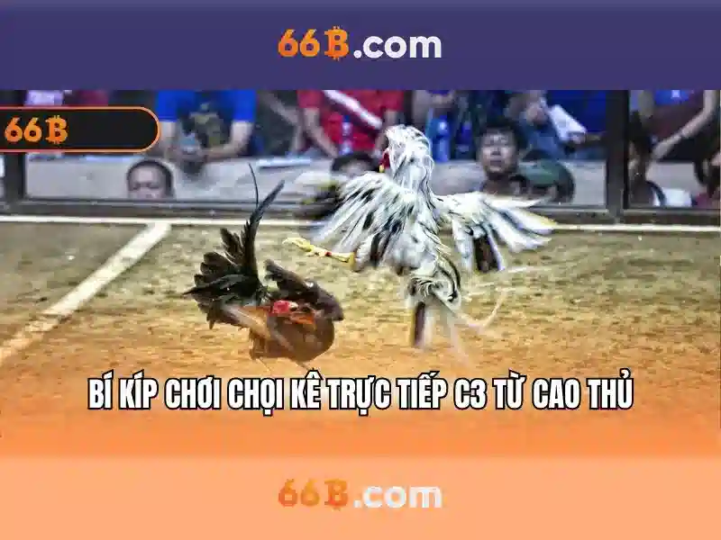66b là gì?