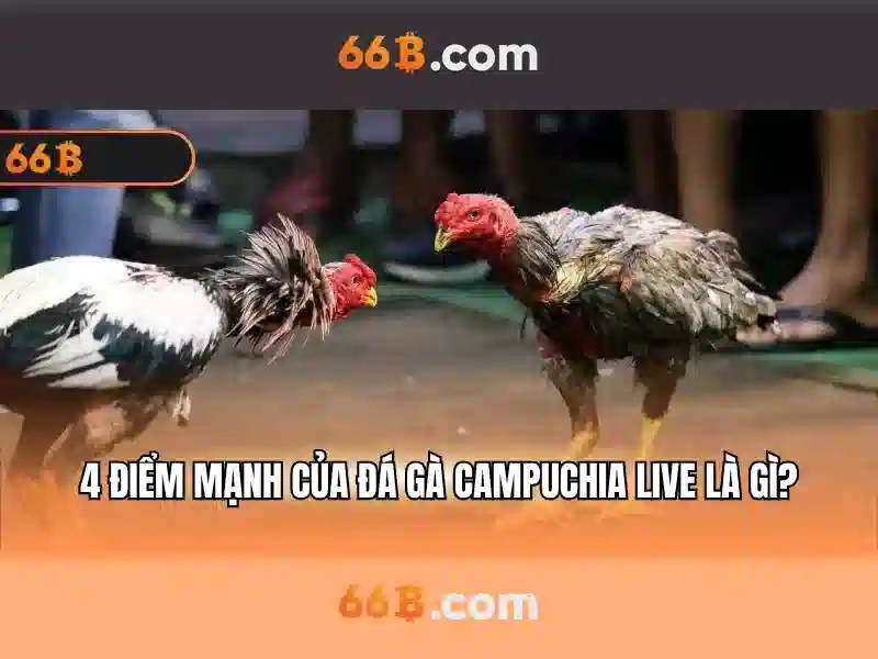 66B: Mô hình ngôn ngữ lớn và ứng dụng