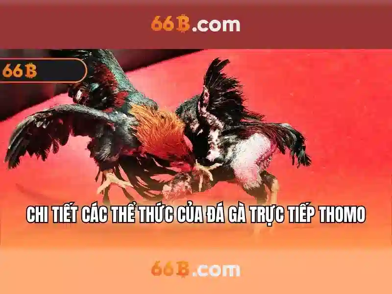 66b cách mạng tháng 8 – Hành trình đổi mới thương hiệu