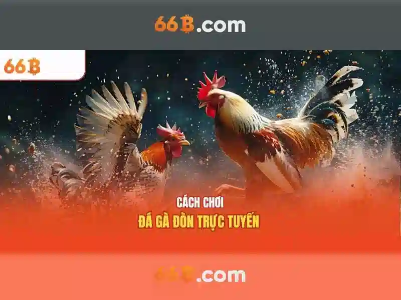 Về 66B: Hiểu rõ mô hình ngôn ngữ 66B