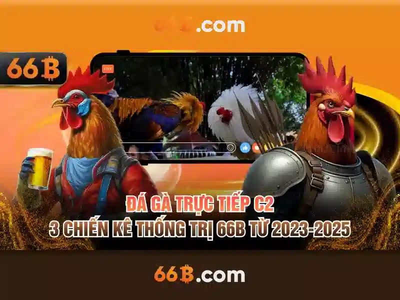 66b là một ký hiệu đầy bí ẩn