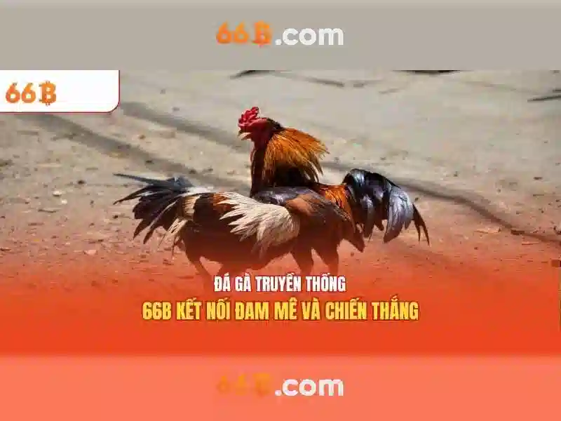 Kiến trúc và khả năng