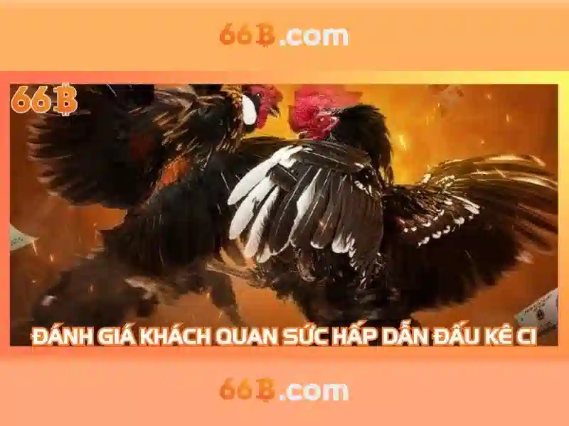 Khái niệm cơ bản về 66b