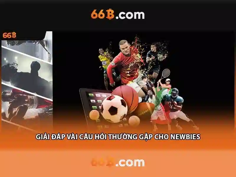 66b là gì