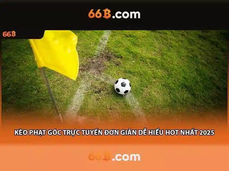 Kiến trúc căn bản của 66b