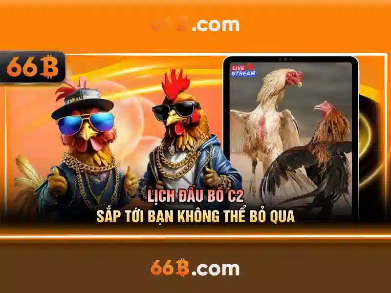 Khái niệm cơ bản về 66b