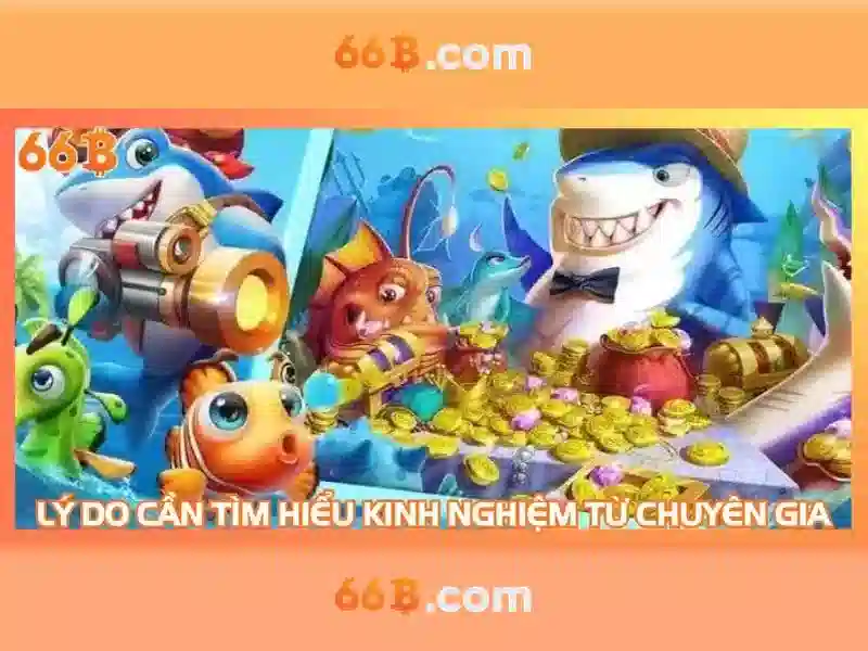 66b nguyễn sỹ sách phường 15 quận tân bình – Trải nghiệm và thông tin