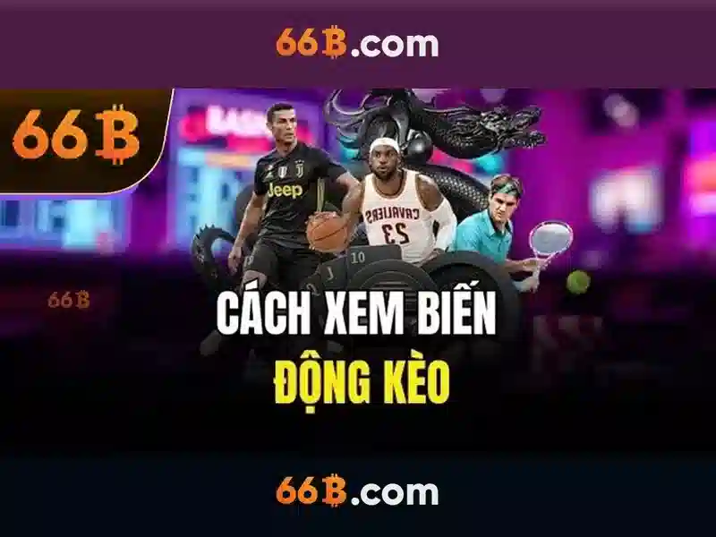 66B: Nền tảng và tiềm năng