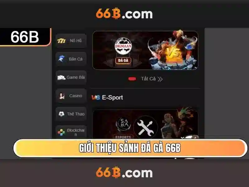 66b nguyen sy sach – Hành trình thương hiệu và trải nghiệm