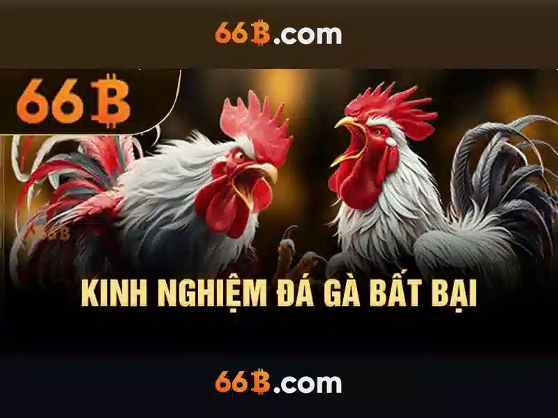 Bền bỉ và hiệu suất trong thực tế