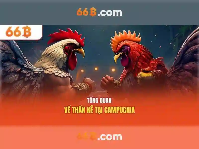 66b: khái niệm, ứng dụng và triển vọng