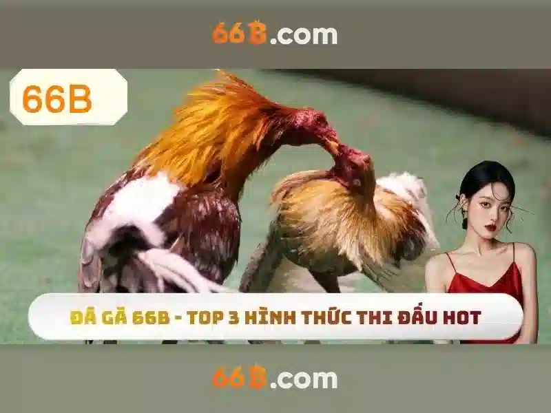Ứng dụng và tiềm năng