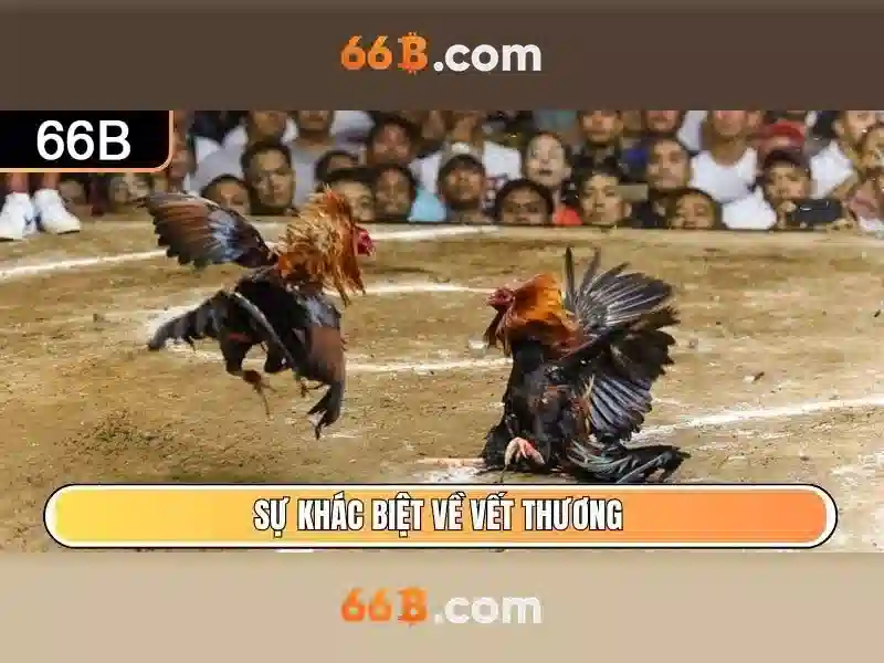 66B là gì?