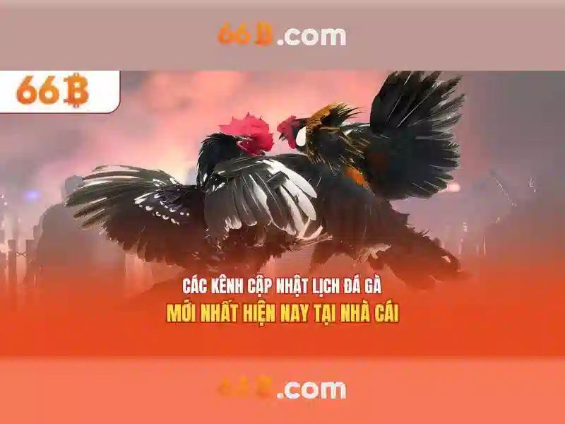 Giới thiệu về 66B