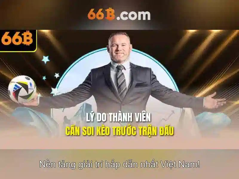 66B là gì?
