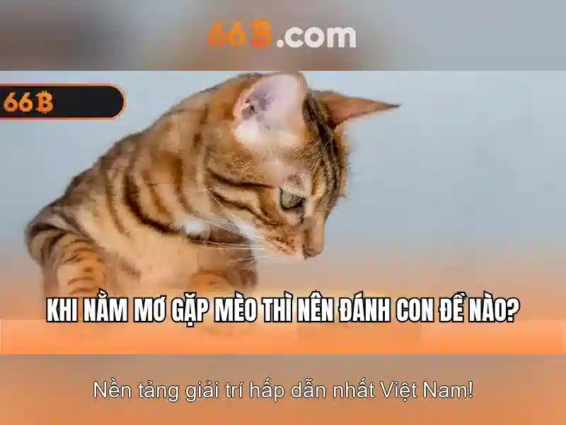 66B trong ngôn ngữ học máy và ứng dụng