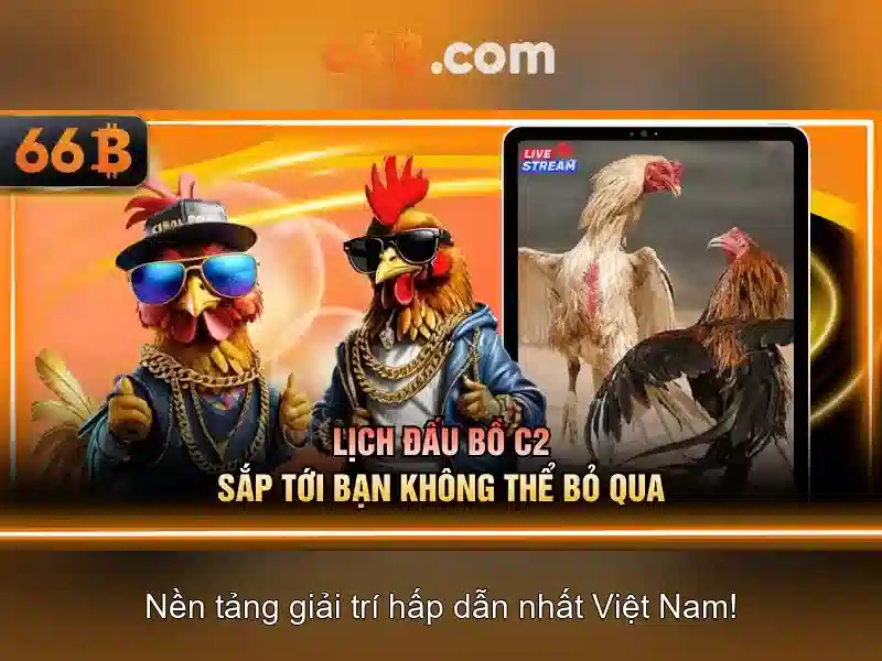 66b: một khái niệm số và ý nghĩa của nó