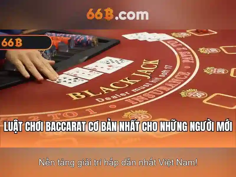 Kết luận