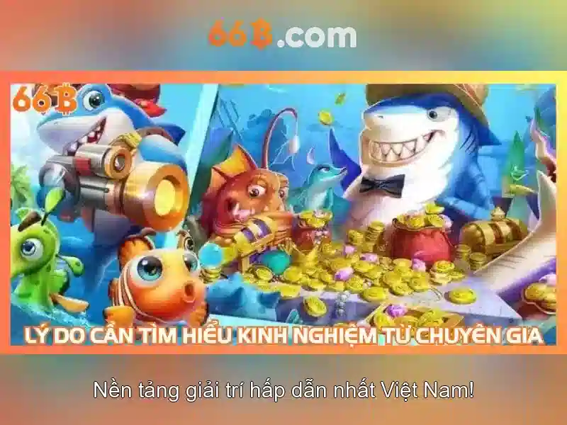 66b là gì?