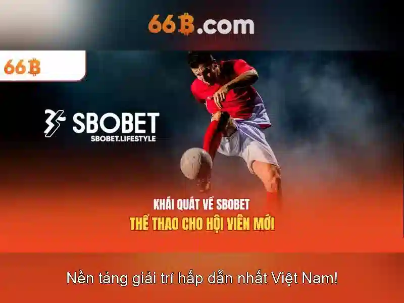 Cấu trúc của 66b