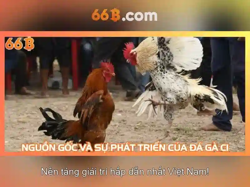 Tiêu chuẩn đo kích thước vòng ngực