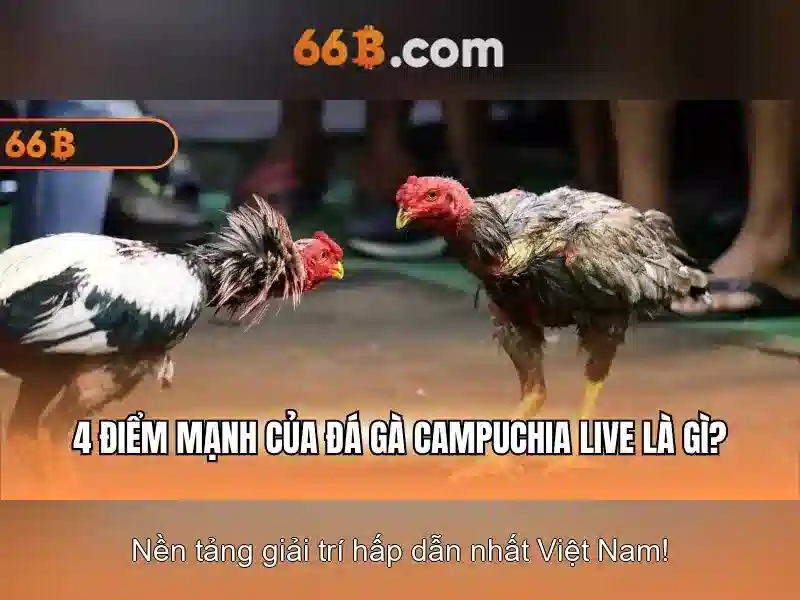 66B: một kích thước mô hình ngôn ngữ lớn