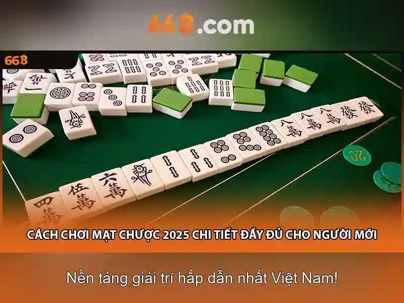 66b trong văn hóa số và đồ thị thông tin