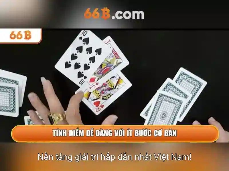 66b là gì