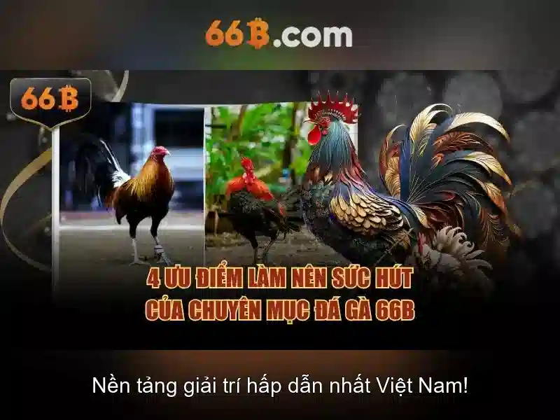 66b: Tong quan ve 66b