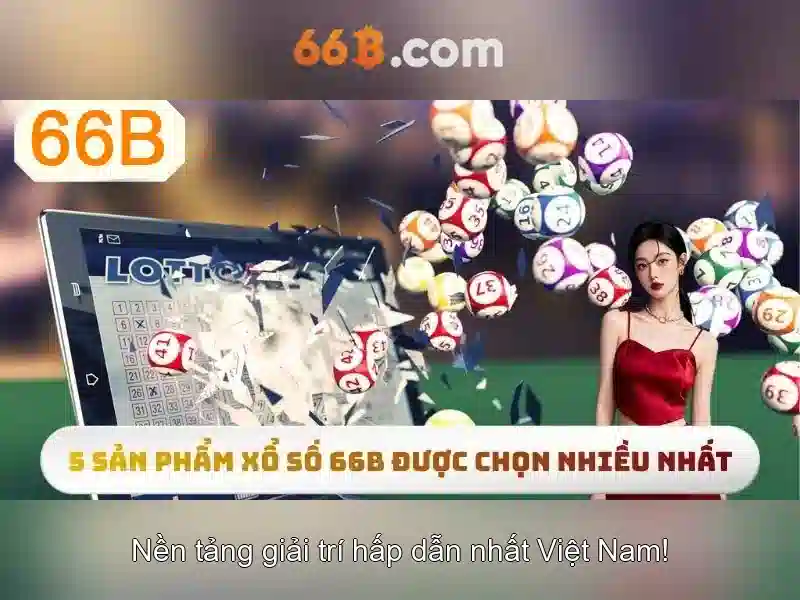 66B là gì?