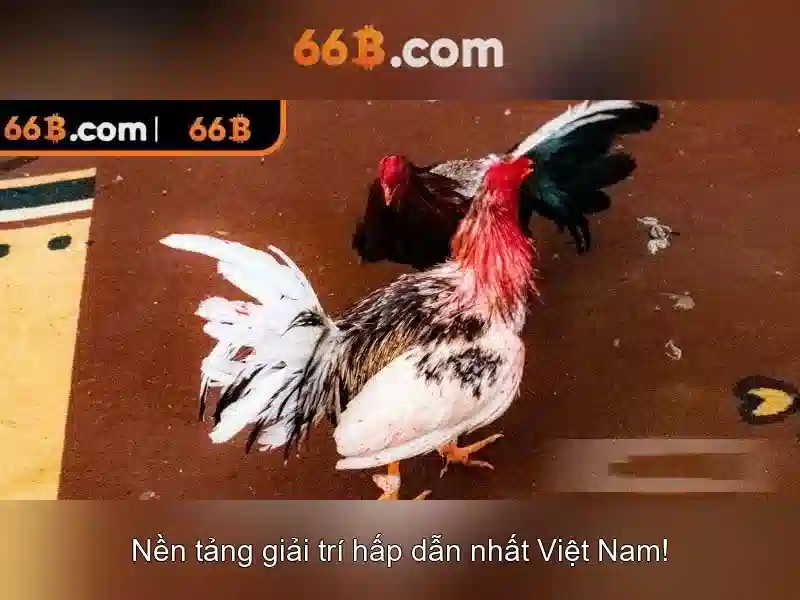 Kiến trúc và yếu tố cốt lõi