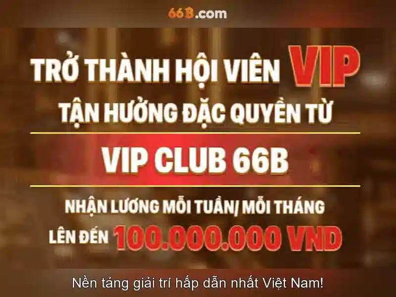 66B là gì và tại sao nó quan trọng