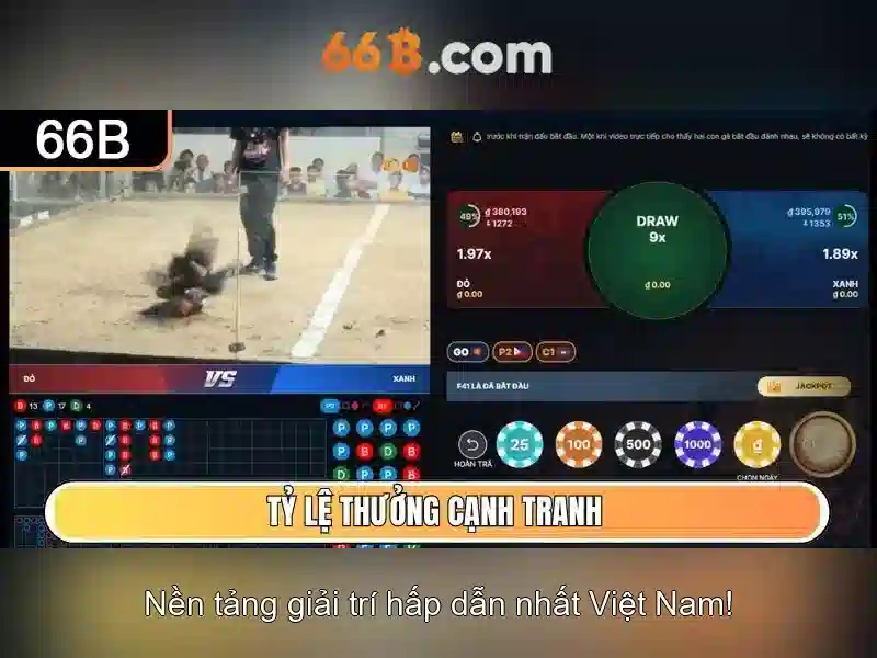 66b: một khái niệm sáng tạo trong thế giới số