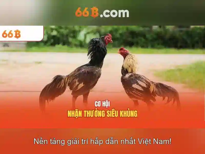 Khái niệm 66b