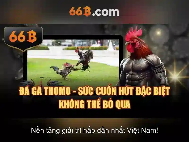 66b: khái niệm, đặc tính và ứng dụng
