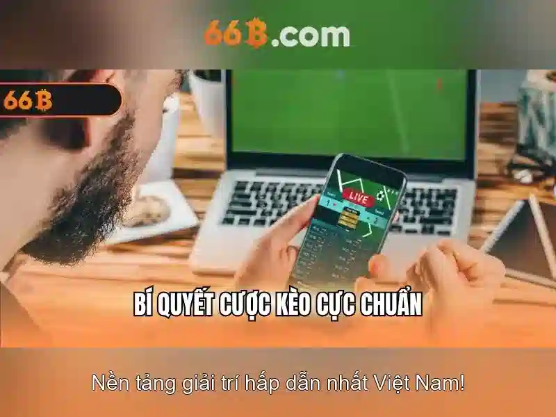 66b: một khái niệm số và ý nghĩa của nó